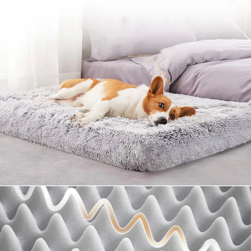 Cozy and Convenient Plush Washable Dog Bed for Ultimate Pet Comfort