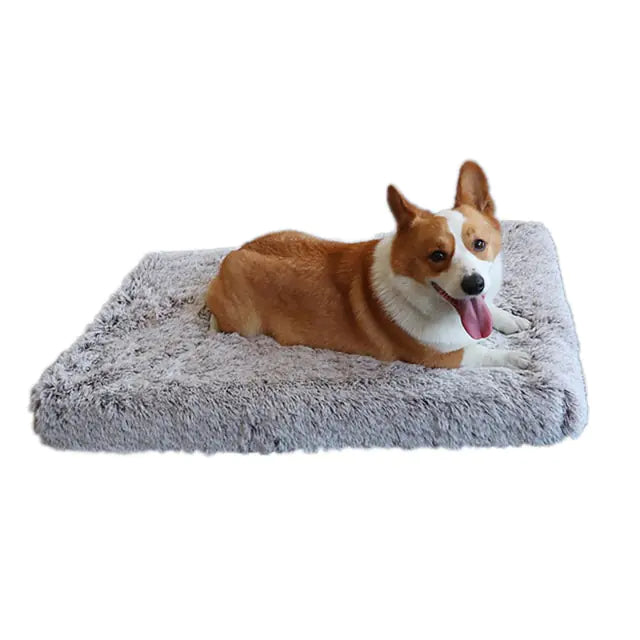 Cozy and Convenient Plush Washable Dog Bed for Ultimate Pet Comfort