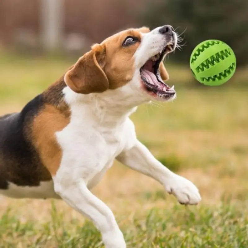 Interactive Rubber Pet Dog Toy - Engaging and Durable for Playtime