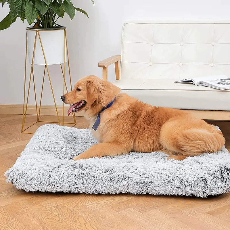 Cozy and Convenient Plush Washable Dog Bed for Ultimate Pet Comfort