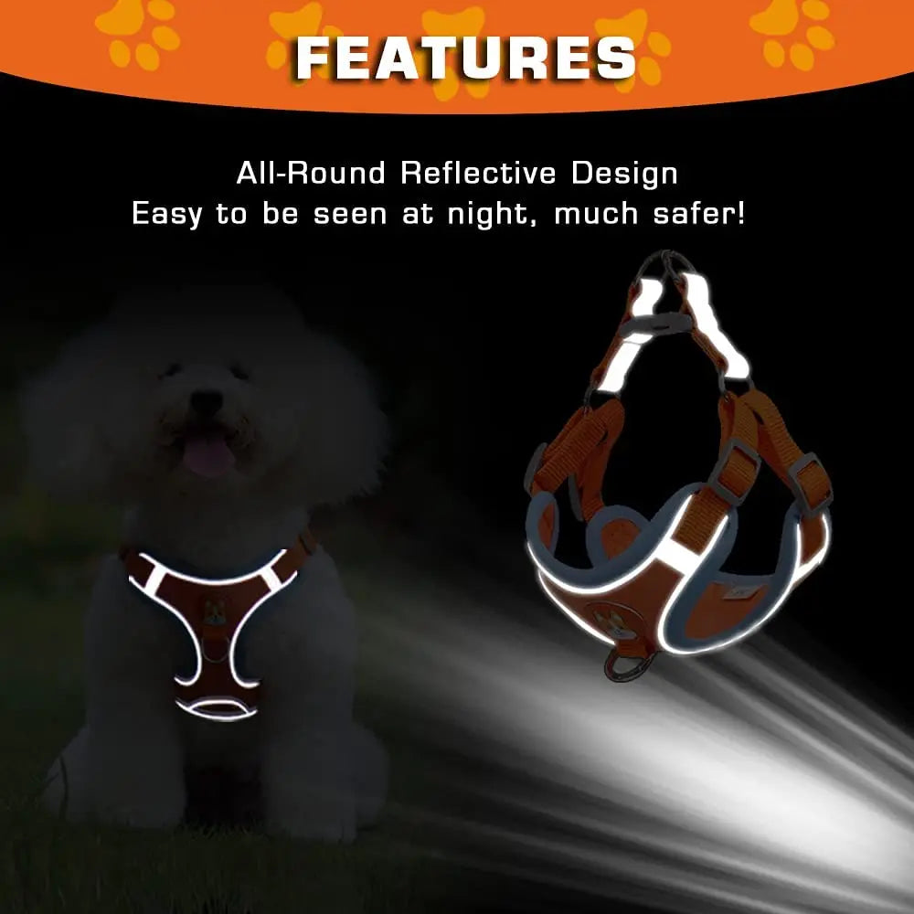 Pet dog reflective harness and leash set