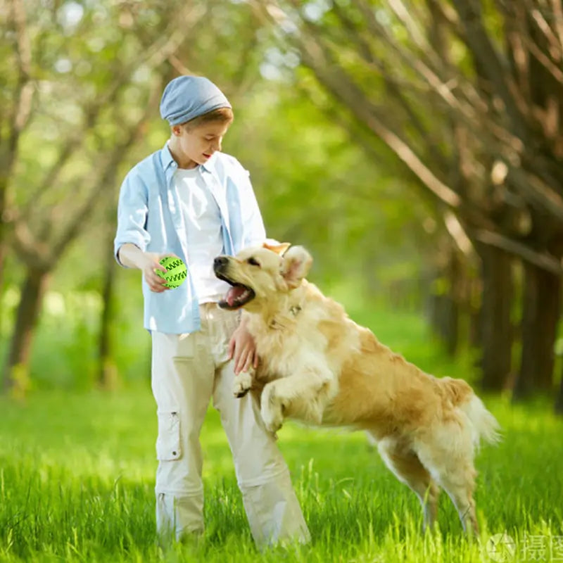 Interactive Rubber Pet Dog Toy - Engaging and Durable for Playtime