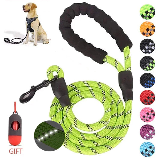 Stay Safe and Stylish: High-Visibility Pet Reflective Leash