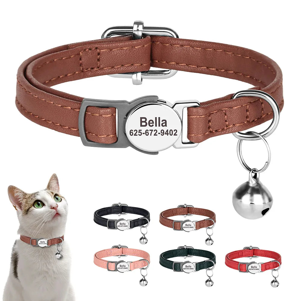 Custom Engraved Cat Collar