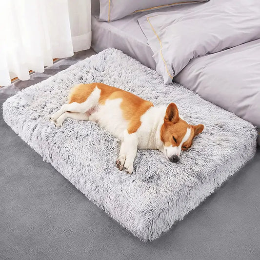 Cozy and Convenient Plush Washable Dog Bed for Ultimate Pet Comfort