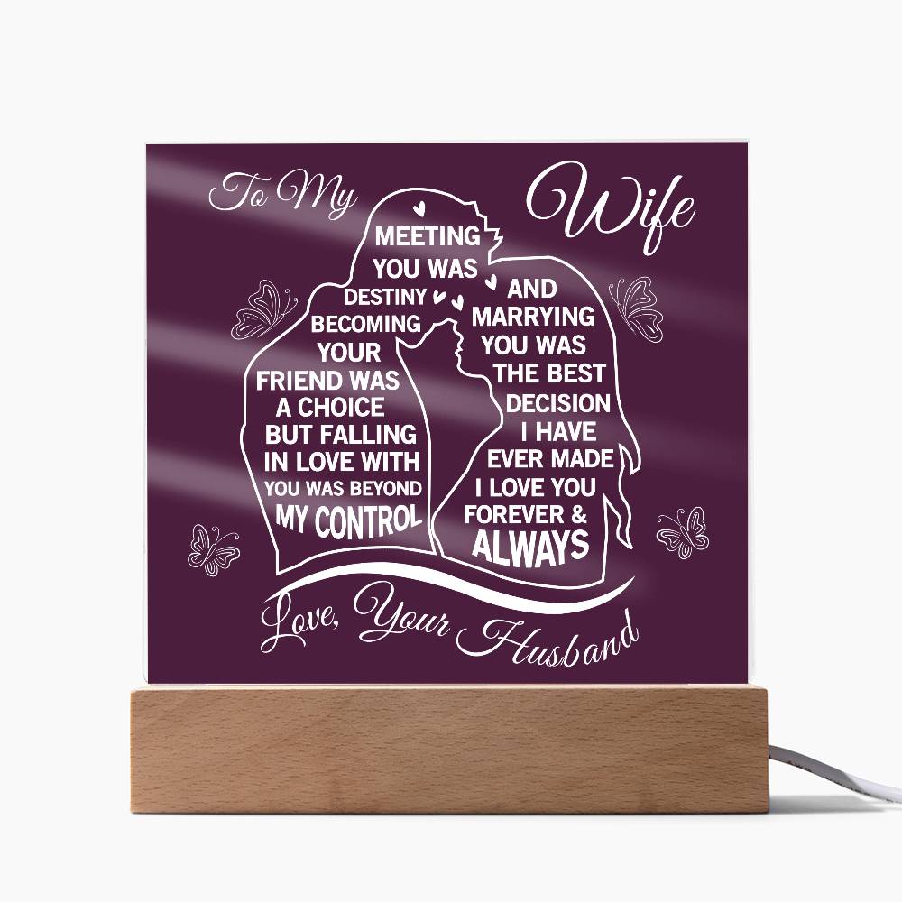 To My Wife Meeting You Was Destiny Acrylic Plaque