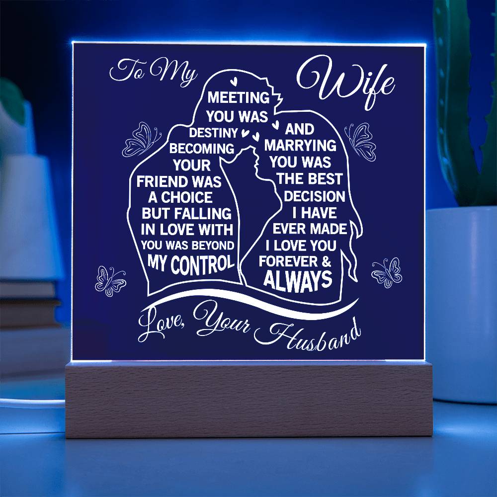 To My Wife Meeting You Was Destiny Acrylic Plaque