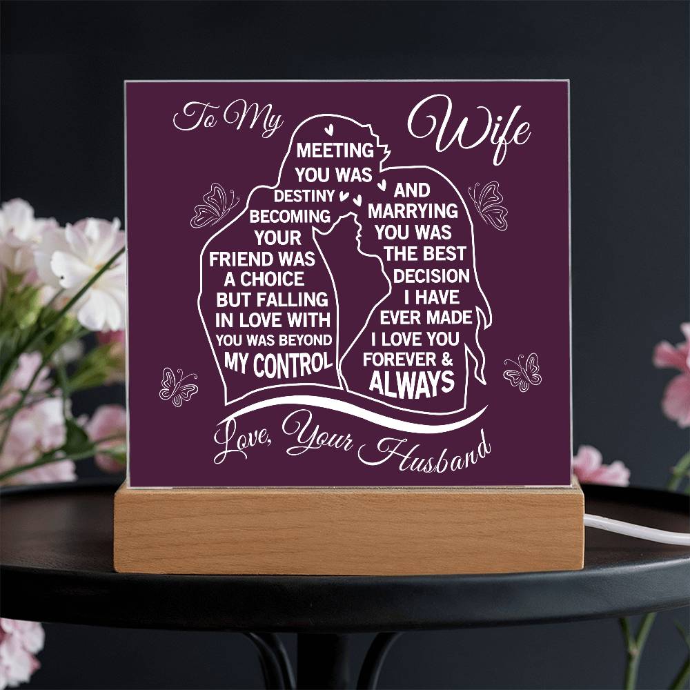 To My Wife Meeting You Was Destiny Acrylic Plaque