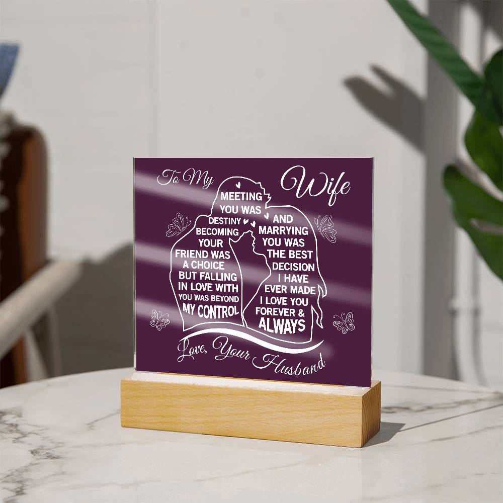 To My Wife Meeting You Was Destiny Acrylic Plaque