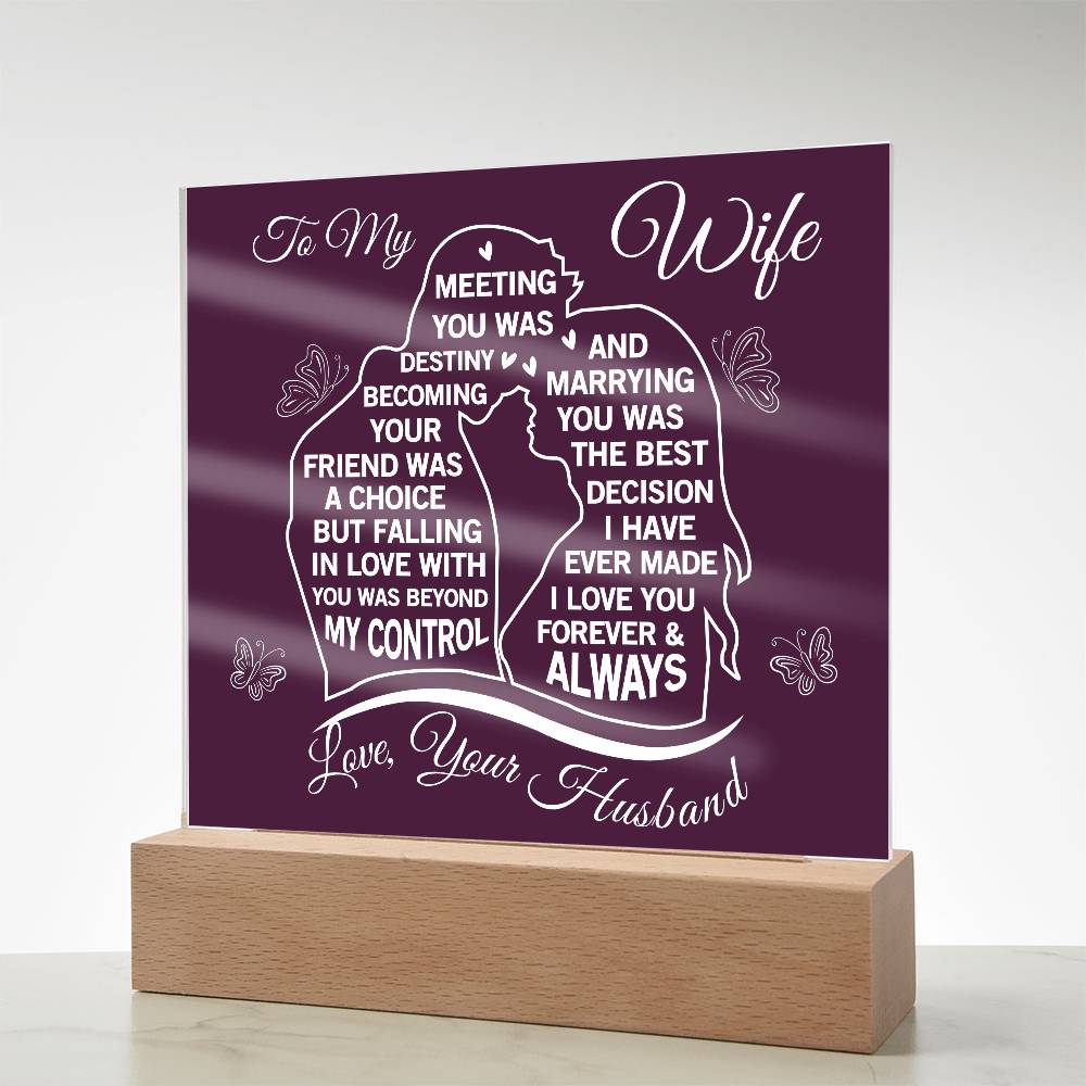 To My Wife Meeting You Was Destiny Acrylic Plaque