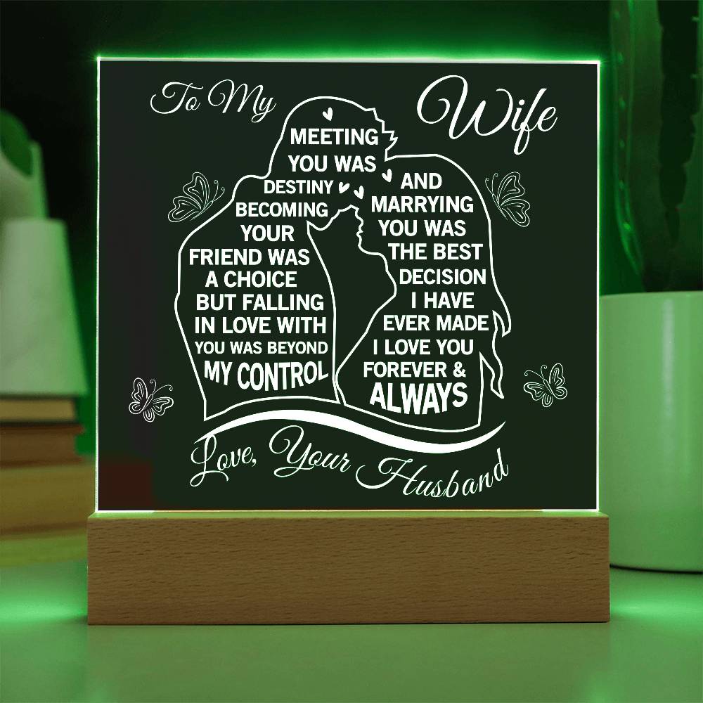 To My Wife Meeting You Was Destiny Acrylic Plaque