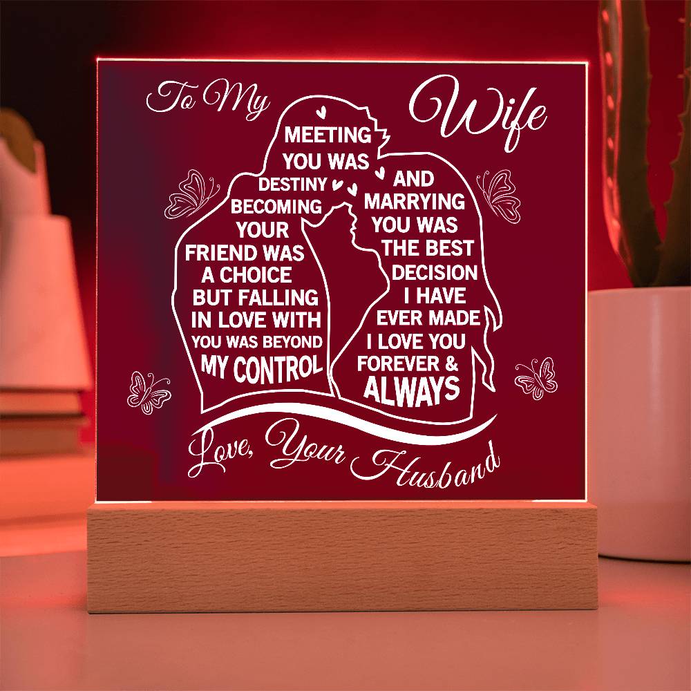 To My Wife Meeting You Was Destiny Acrylic Plaque