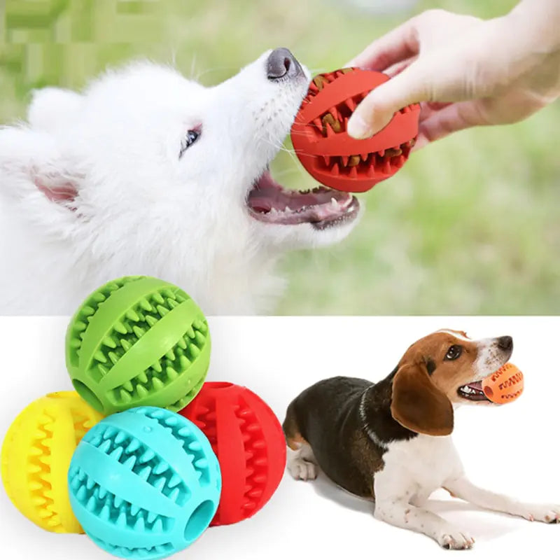 Interactive Rubber Pet Dog Toy - Engaging and Durable for Playtime