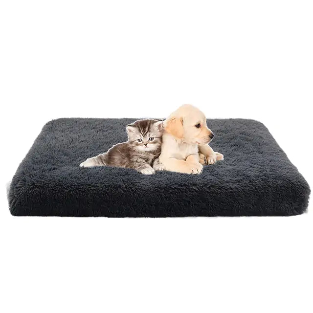 Cozy and Convenient Plush Washable Dog Bed for Ultimate Pet Comfort