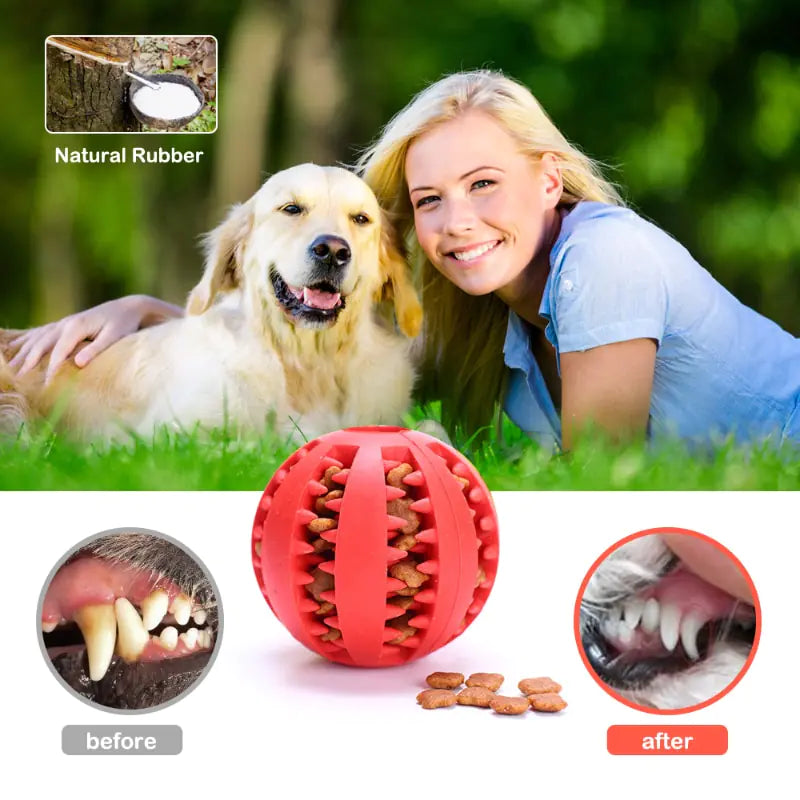 Interactive Rubber Pet Dog Toy - Engaging and Durable for Playtime