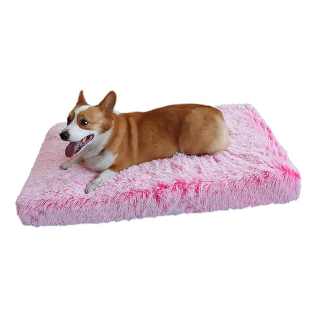 Cozy and Convenient Plush Washable Dog Bed for Ultimate Pet Comfort