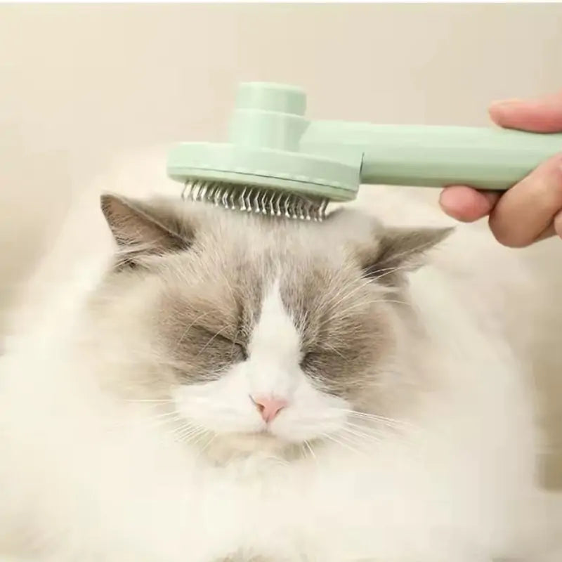 Cat Grooming Brush  - Gentle, Effective Tool for Shiny Fur and Reduced Shedding